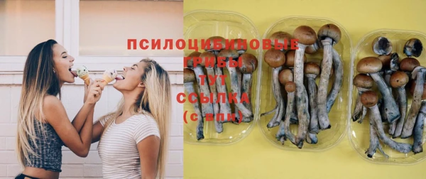 2c-b Арсеньев