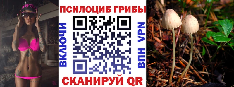 Псилоцибиновые грибы MAGIC MUSHROOMS  Холм 